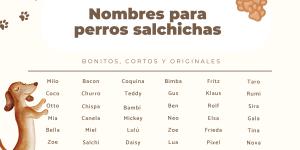 Nombres para perros salchichas machos y hembras