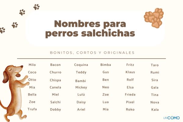 Nombres para perros salchichas machos y hembras