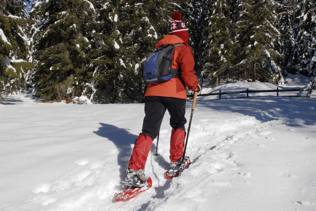Qué ropa usar para el frío extremo: descubre cómo abrigarse