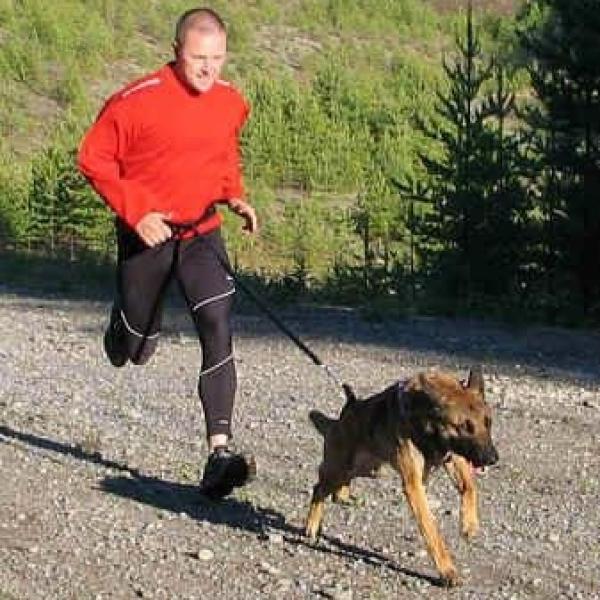 cuando puedo correr con mi cachorro