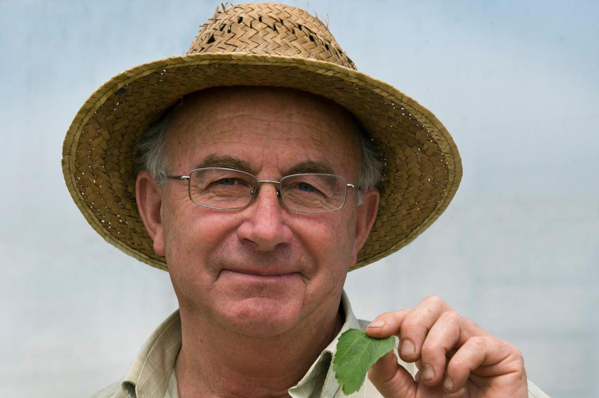 Cómo contactar con Josep Pàmies