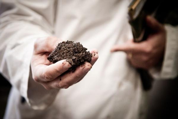 Cómo se fabrica el Fernet Branca - Los ingredientes del Fernet