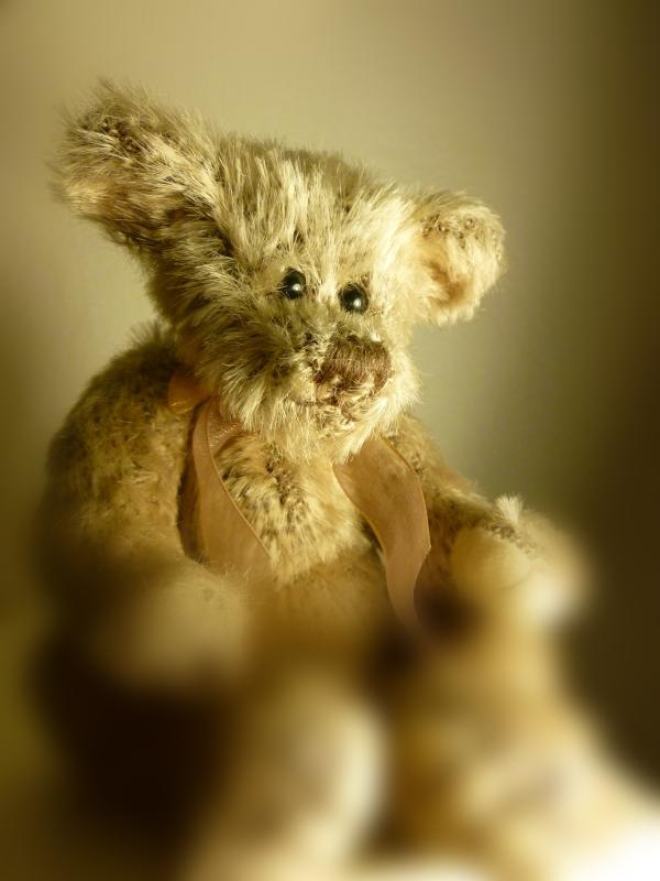 Cómo hacer mejores fotos de navidad - Primeros planos en Navidad