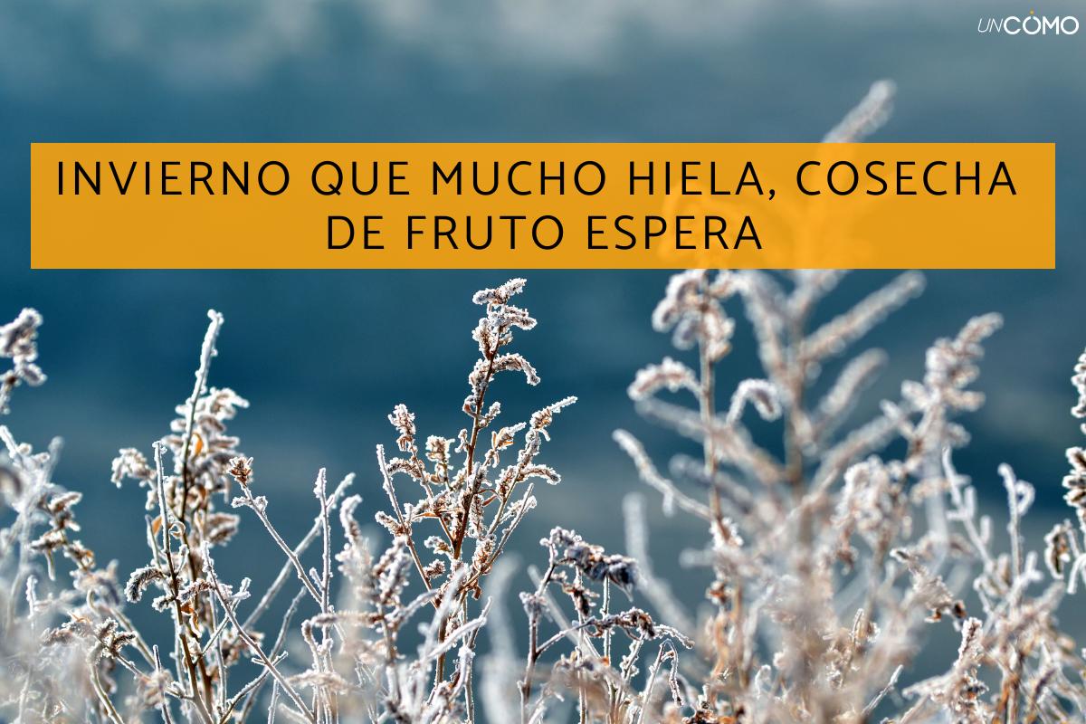 Refranes de invierno: lista de los más populares