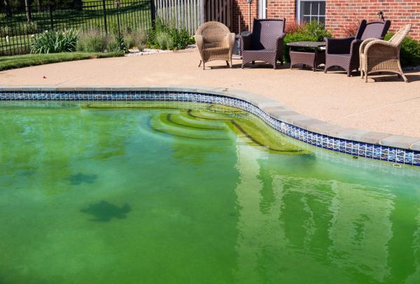 Cómo recuperar el agua verde de la piscina
