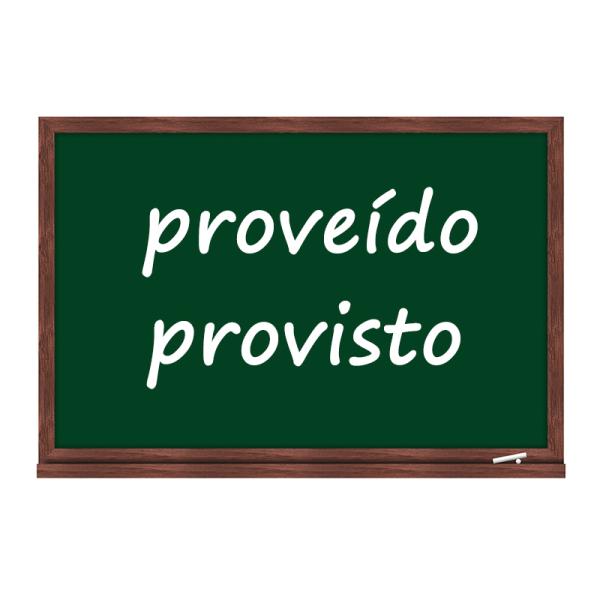 Cómo se dice proveído o provisto