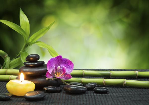 Cómo diseñar un jardín - Paso 5