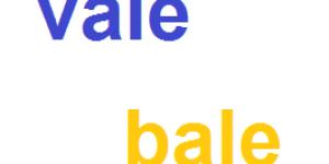 Cómo se escribe vale o bale