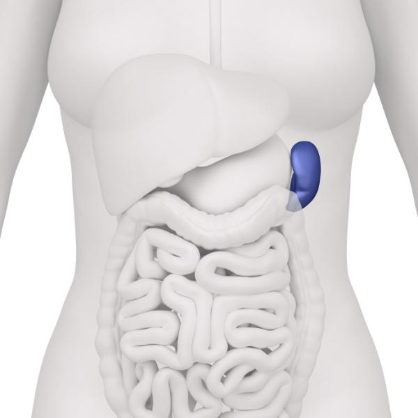 Cómo tratar la congestión del bazo