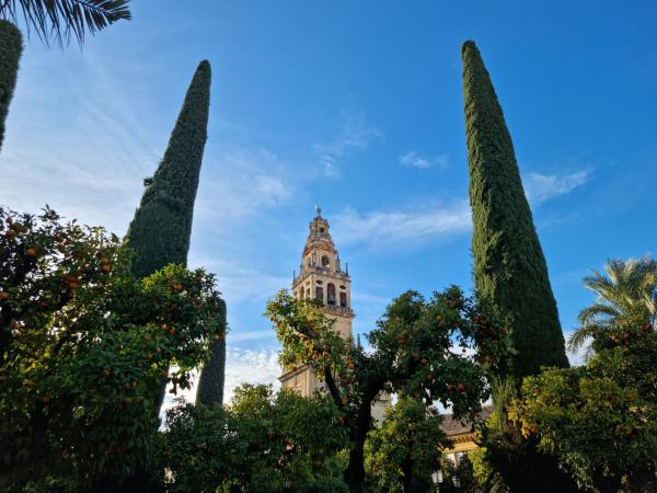¿Qué ver en Córdoba? Conoce los lugares imprescindibles que no te puedes perder - Guía turística de Córdoba: qué hacer y visitar en la ciudad andaluza