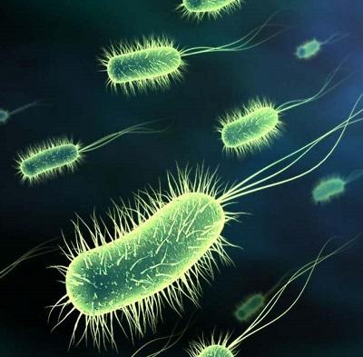 Por qué me duele la barriga - Por qué me duele la barriga: infecciones estomacales 