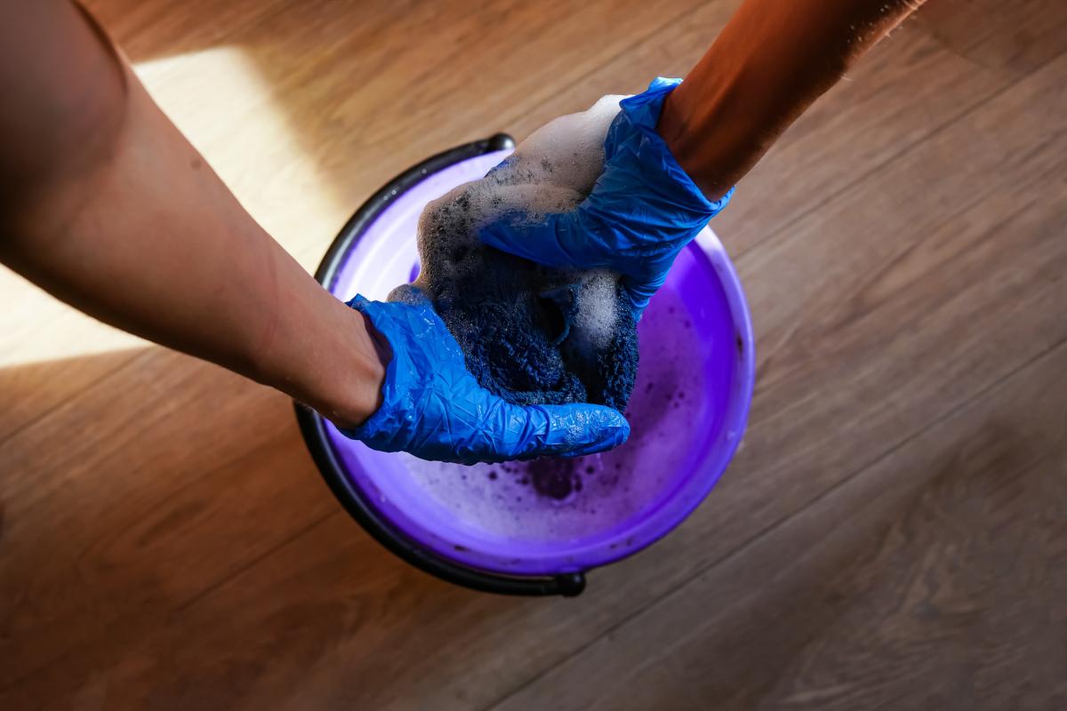 Cómo desinfectar la casa de sarna