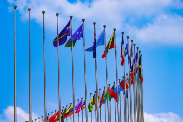 Lista de países de la OTAN en 2026 y datos clave de cada miembro - ¿Qué es la OTAN y cuáles son sus objetivos principales?