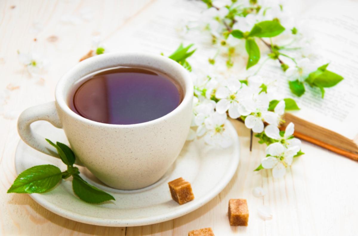 Cómo tomar boldo para adelgazar