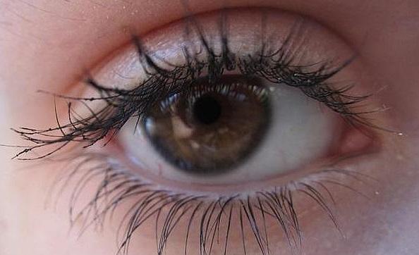 Trucos de maquillaje para los ojos marrones - Paso 1