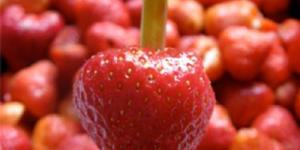 Cómo quitar el corazón de una fresa con una pajita de plástico