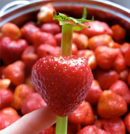 Cómo quitar el corazón de una fresa con una pajita de plástico