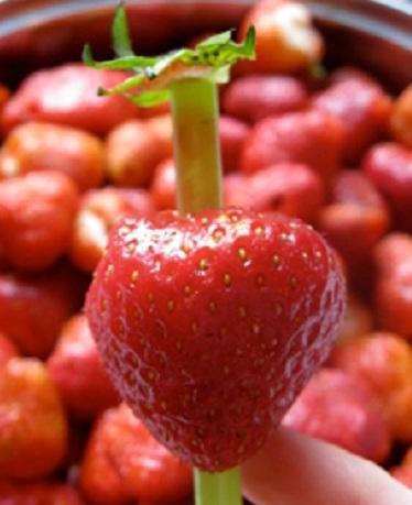 Cómo quitar el corazón de una fresa con una pajita de plástico - Paso 4