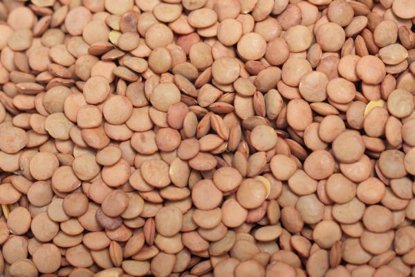 Cómo hacer lentejas con chorizo y patatas: receta fácil - Paso 1