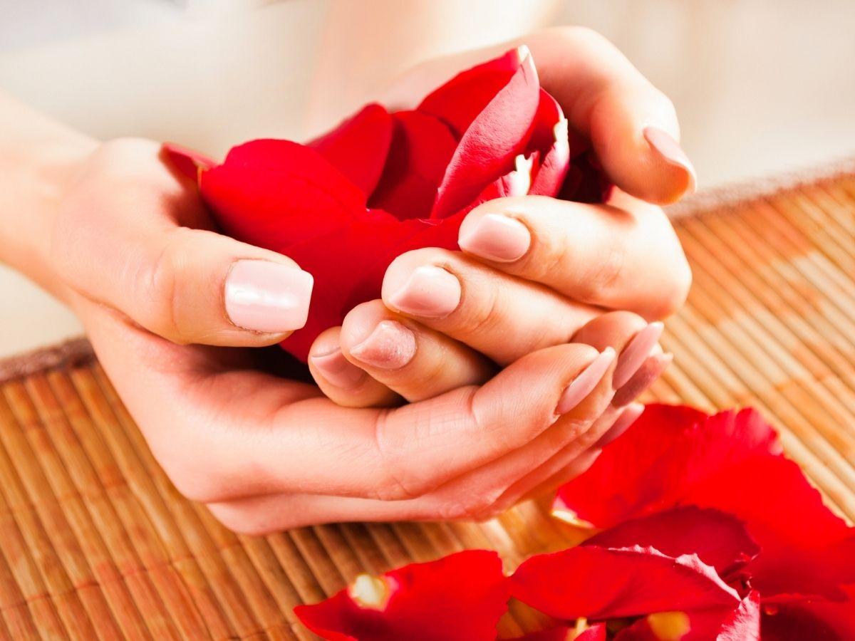 Cómo conservar los pétalos de rosa frescos