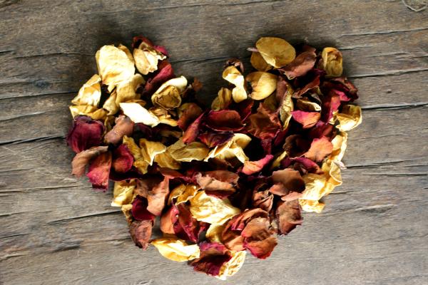 Cómo conservar los pétalos de rosa frescos - Reservar en una caja o en un frasco