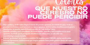 Colores que no existen en la naturaleza
