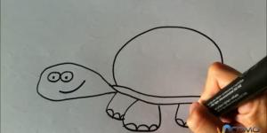 Cómo dibujar una tortuga de dibujo animado