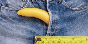 Cuál es el tamaño de un pene normal