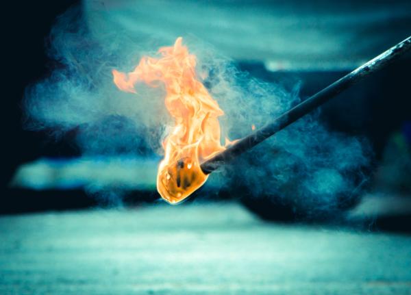 Cómo quitar un panal de avispas en casa - Cómo NO eliminar un nido de avispas en casa