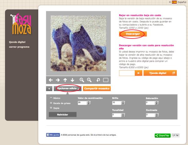 Cómo hacer mosaicos con fotos online - Paso 9