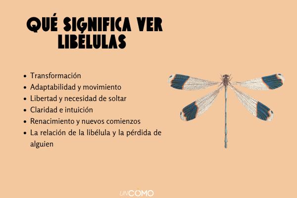 Qué significa ver libélulas espiritualmente: simbolismo y mensajes - Adaptabilidad y movimiento 