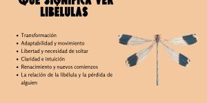 Qué significa ver libélulas espiritualmente: simbolismo y mensajes