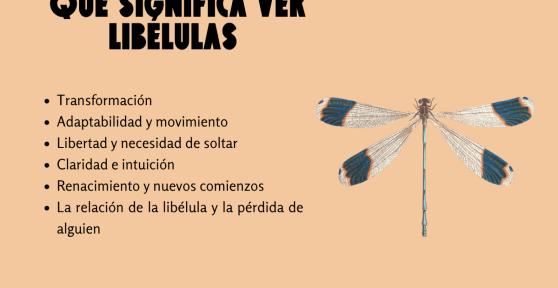 Qué significa ver libélulas espiritualmente: simbolismo y mensajes