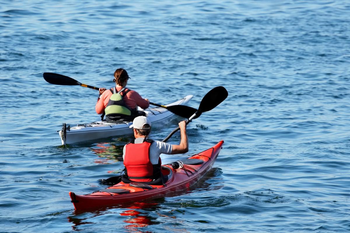 Qué es el piragüismo, en qué consiste este deporte y diferencias con el remo