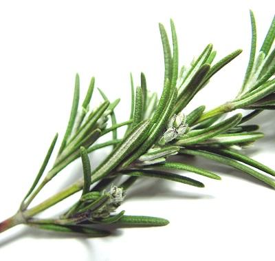 Remedios caseros para el dolor de espalda - Paso 5