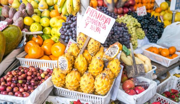 Propiedades de la pitahaya para adelgazar - Principales propiedades de la pitahaya para adelgazar