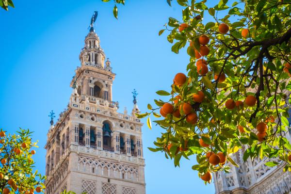 Dónde viajar en España en marzo: los mejores destinos - Sevilla