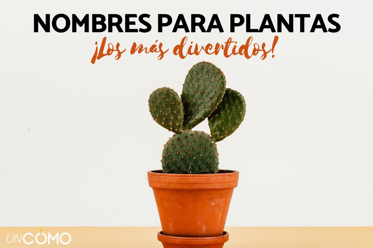 Nombres para plantas