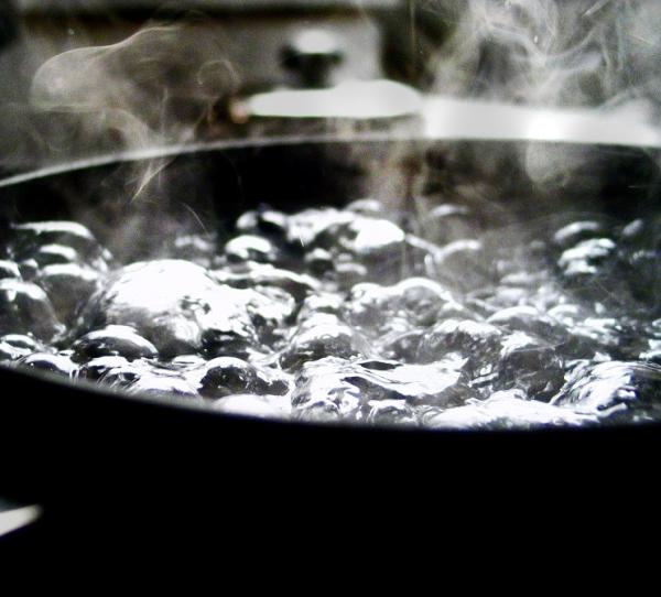 Cómo se escribe hervir o herbir - hervir