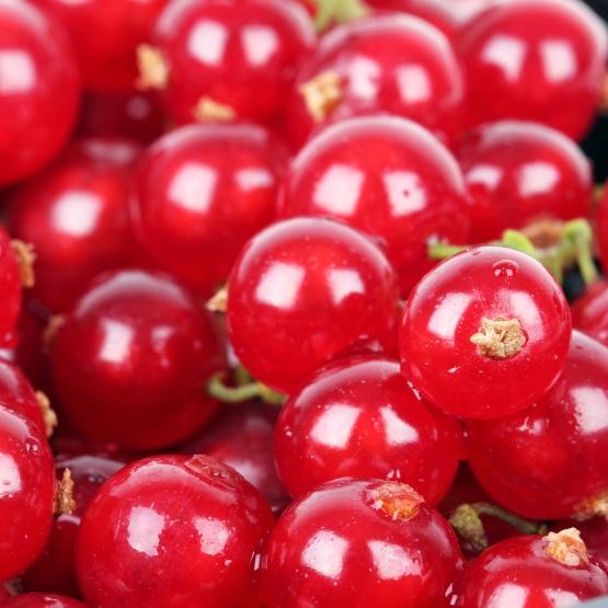 Cómo tratar la inflamación del conducto urinario - Paso 3