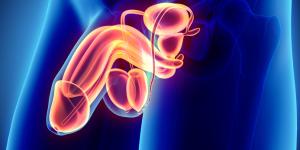 Cómo saber si tengo el pene fracturado