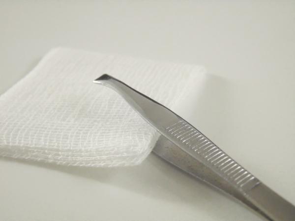 Cómo curar heridas con gusanos en perros - Cómo eliminar gusanos en heridas de perros