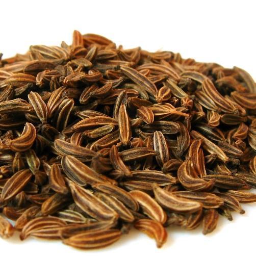 Cómo hacer un bonsái a partir de una semilla - Paso 3