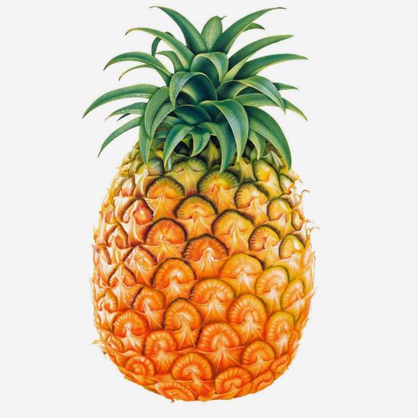 Qué comida llevar a un picnic en la playa - Frutas