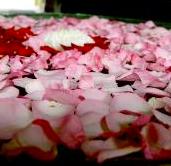 Frases originales para San Valentín - Cómo hacer un masaje sensual en San Valentin