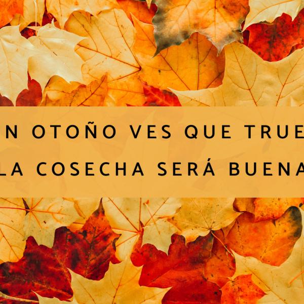 Refranes de Invierno