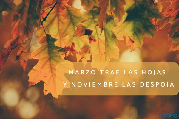 Refranes de otoño - Refranes de otoño para niños