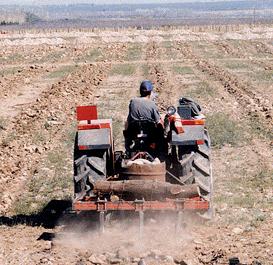 Cómo arar la tierra - El arado en la actualidad