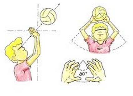 Los toques en voleibol - Toque de dedos