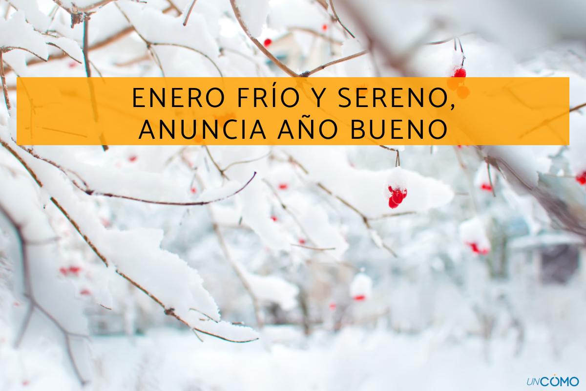 Refranes de enero: lista de los más populares